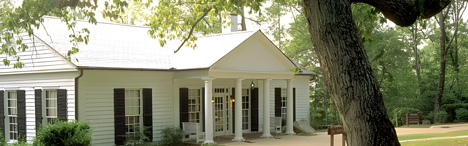 Southern Charm in Bloom: A Spring Street Stroll Through Warm Springs, GA